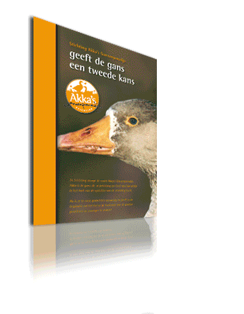 animatie